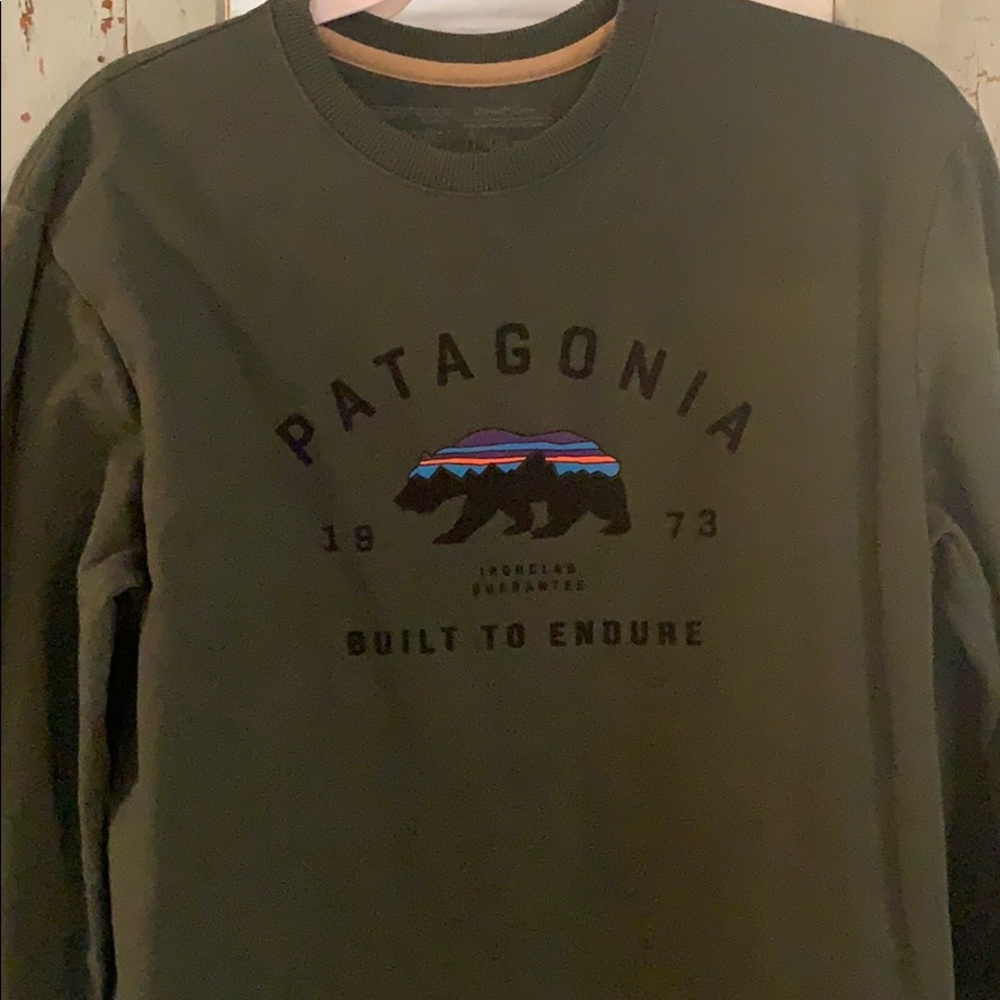 Patagonia Sweatshirt